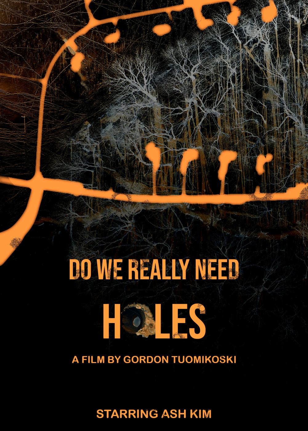 Do We Really Need Holes? Poster